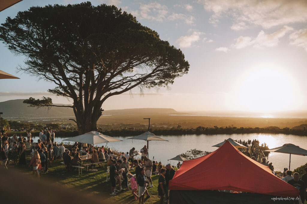 Cape Point Vineyard