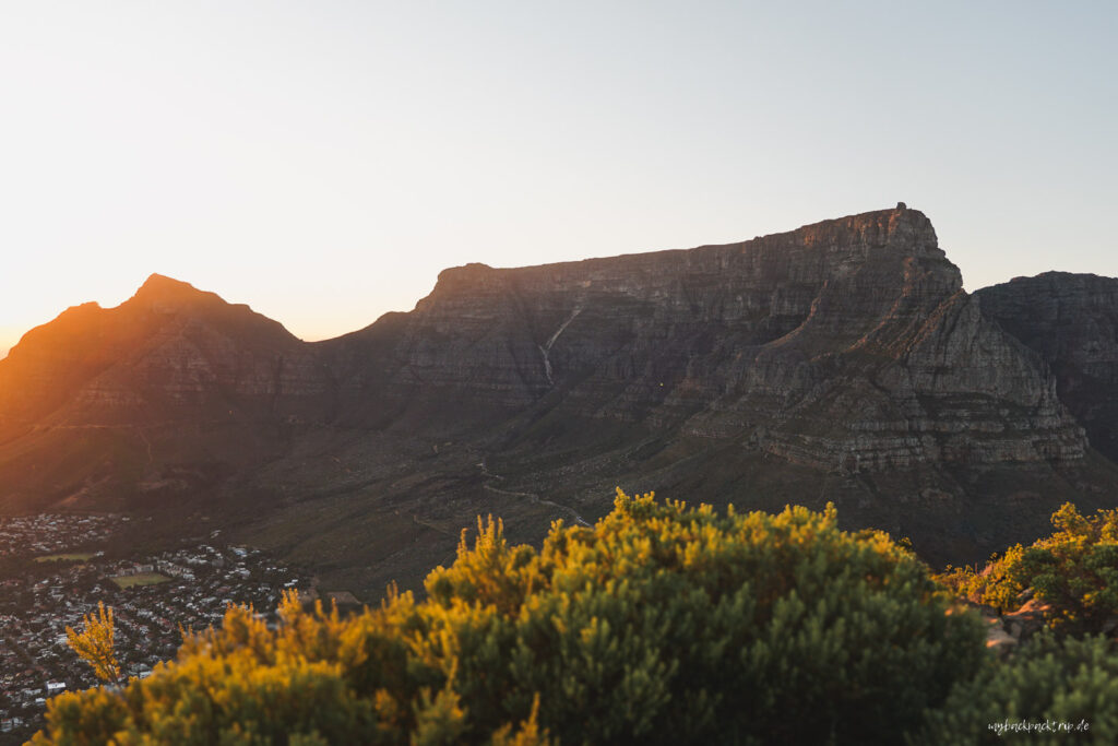 Tafelberg Top Kapstadt Sehenswürdigkeiten