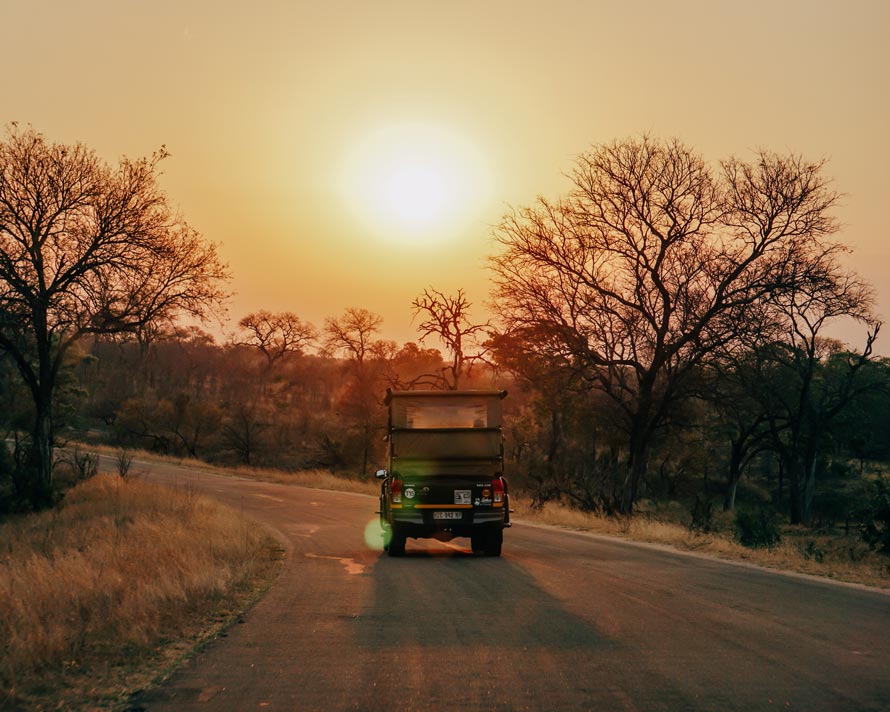 Krüger Nationalpark Südafrika - Reisetipps, Safaris,...