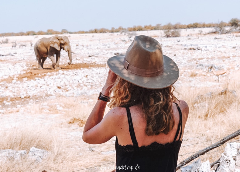 Etosha Nationalpark Namia Erfahrungen