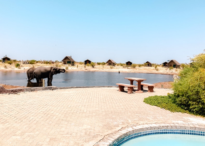 Pool vor einem Wasserloch mit Elephanten in Botswana