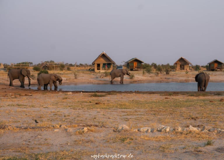 Elephant Sands Botswana Rundreise