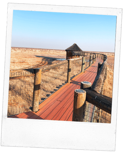 Etosha Nationalpark Olifantsrus Campsite