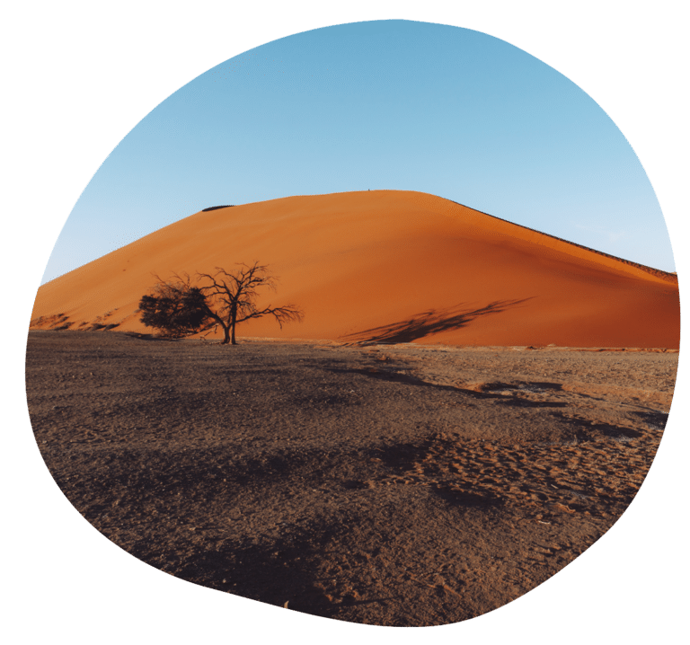 Namib Naukluft Park Namibia