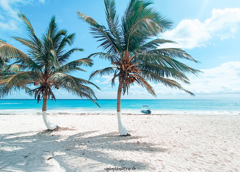 weißer Sandstrand mit zwei Palmen und Boot