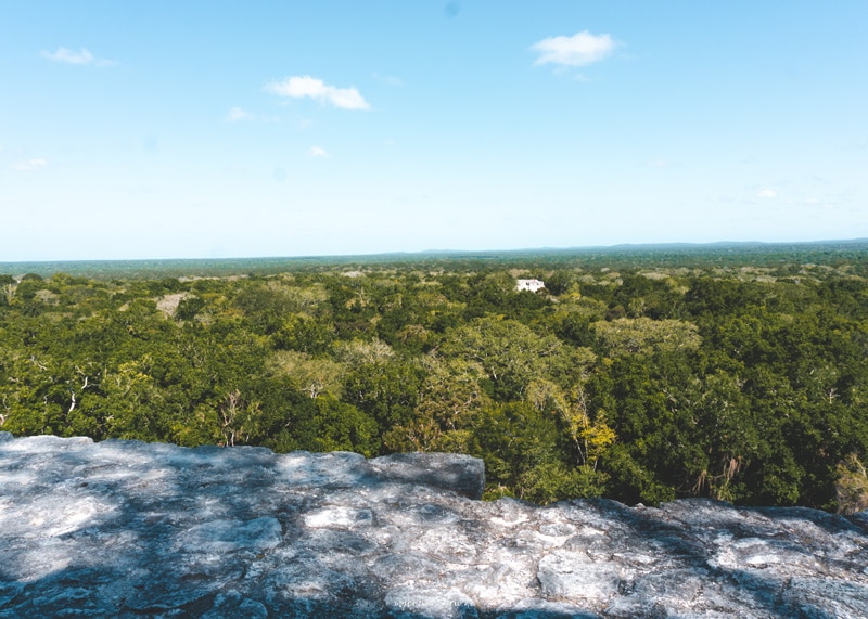 Calakmul Maya Ruinen Mexiko Dschungel