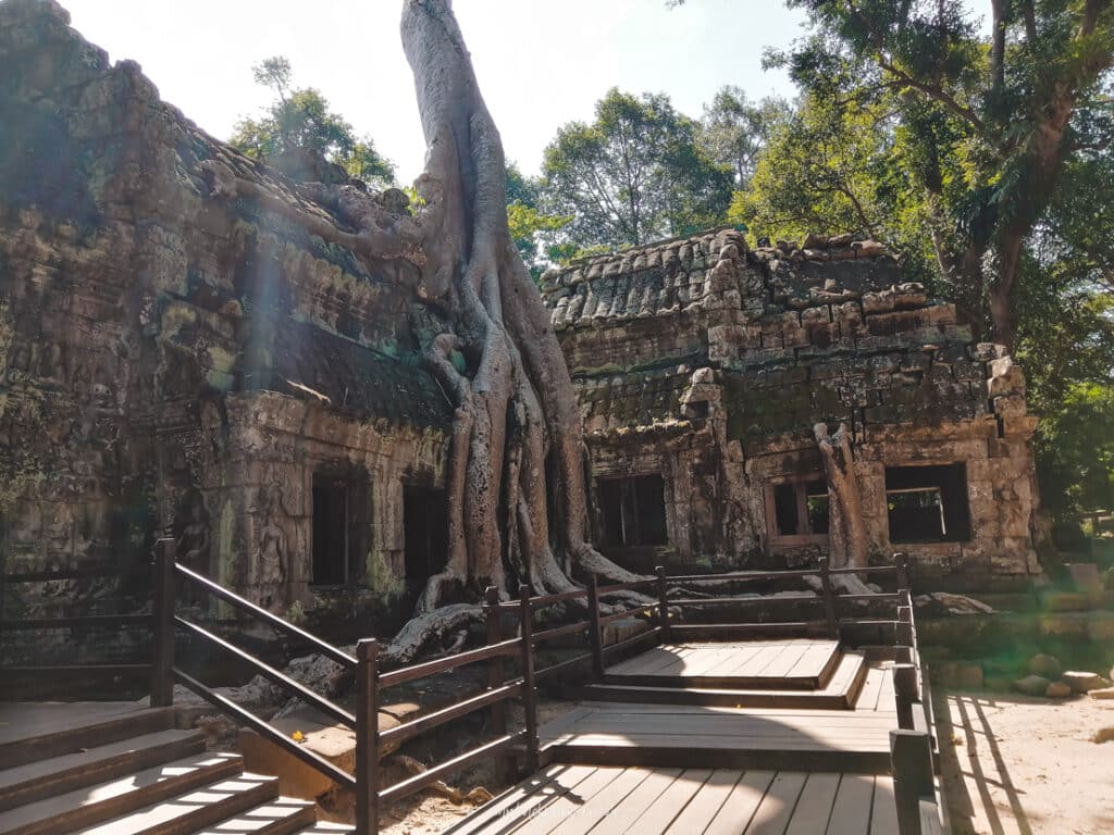 Ta Phrom Angkor Wat Kambodscha Reiseblog