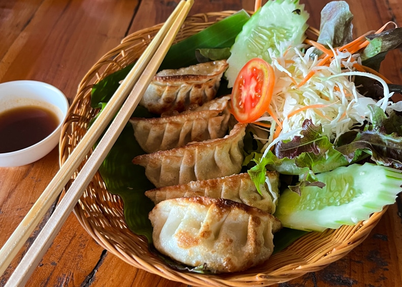 Aum Vegetarian Chiang Mai Restauranttipps