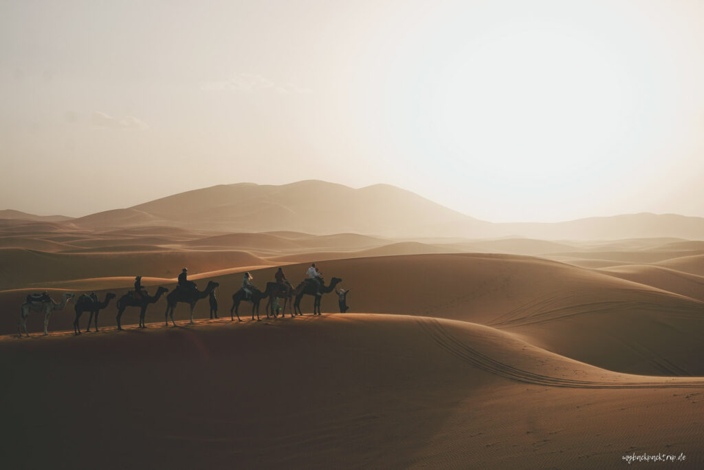 Merzouga Desert Sahara Marokko5