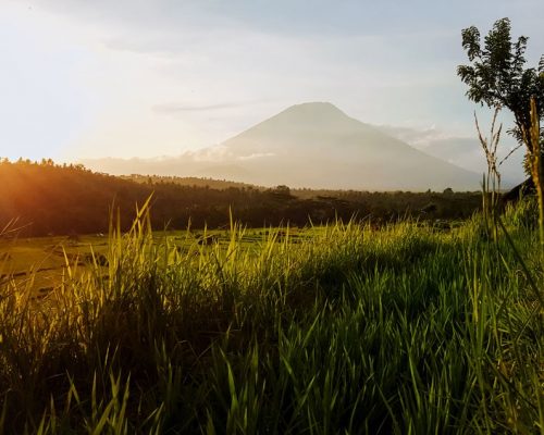 Die Reisterrassen im Hinterland von Amed auf Bali mit Blick auf den Mount Agung