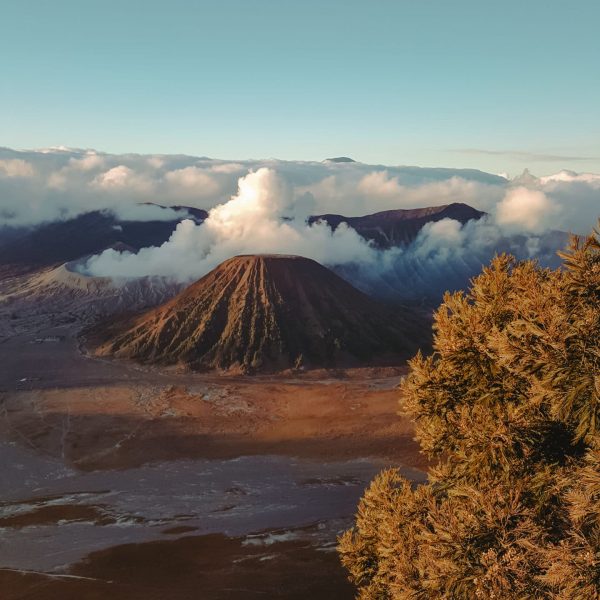 Vulkan Bromo | Reiseblog | Reisebericht Java Indonesien: Reisetipps, Highlights Vulkan Bromo | Reiseblog | Reisebericht Java Indonesien: Reisetipps, Highlights