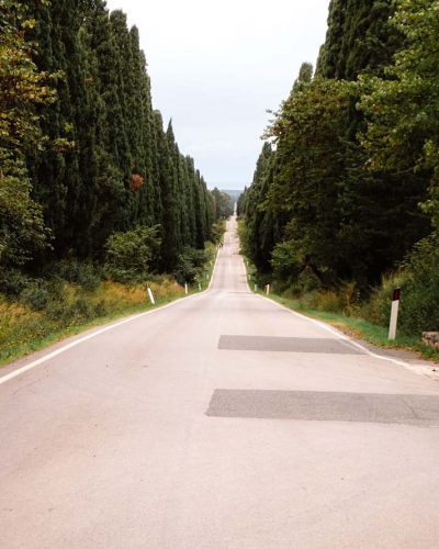 Viale dei Cipressi_Toskana_Italien Viale dei Cipressi_Toskana_Italien