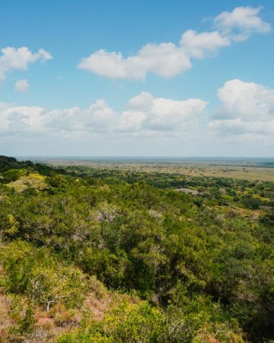 KwaZulu Natal Reisetipps & Highlights | mybackpacktrip
